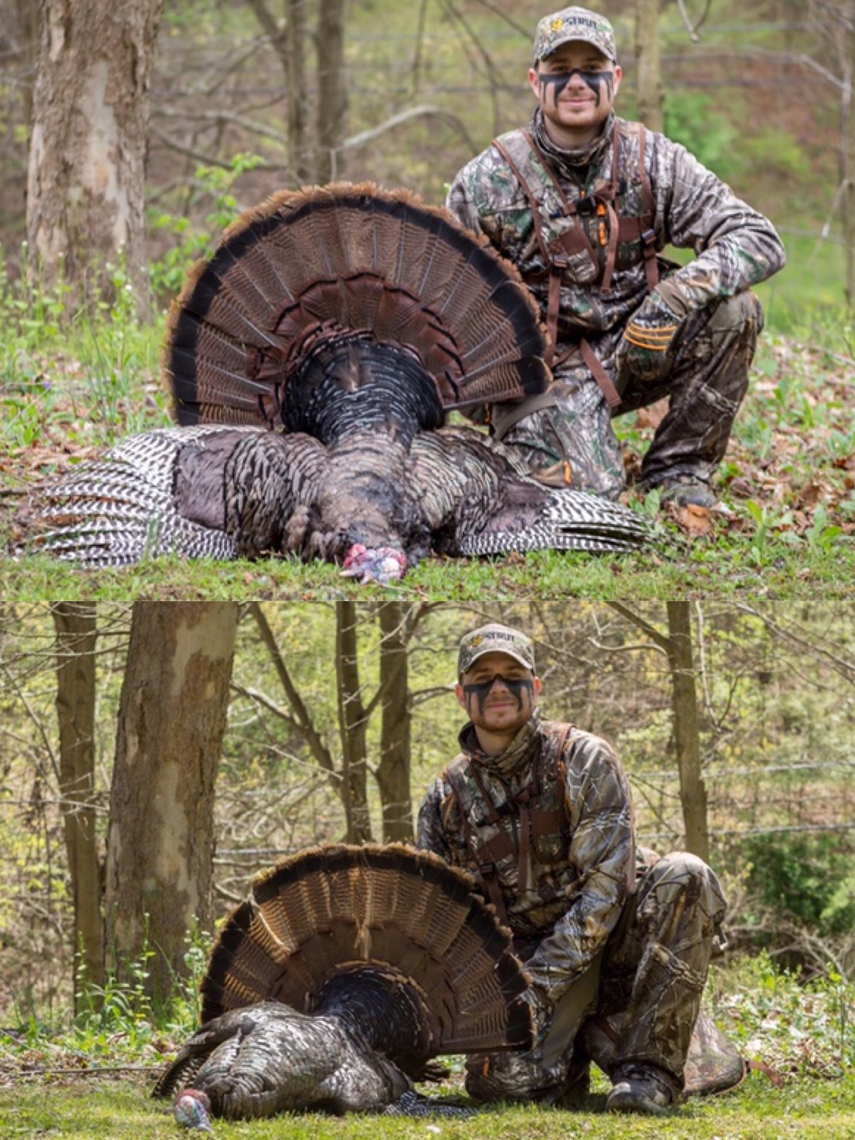 When Is Turkey Season In Virginia maddesignsetc